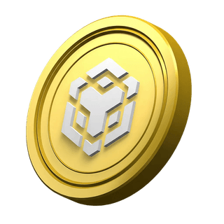 BNB coin graphic displayed in the platform details area